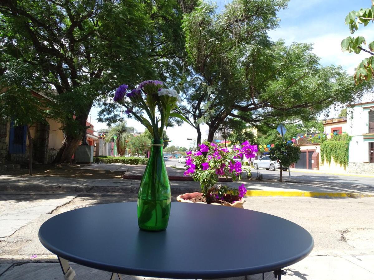 Alojamiento Jalatlaco - Car Rental! Estacionamiento En La Calle Sujeto A Disponibilidad Oaxaca Zewnętrze zdjęcie